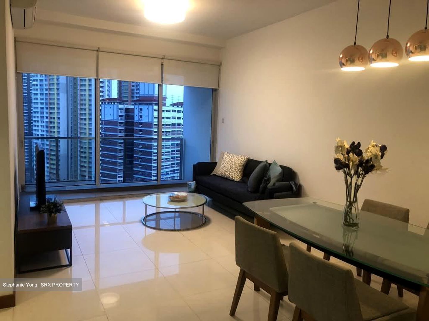 Twin Regency (D3), Condominium #559028701